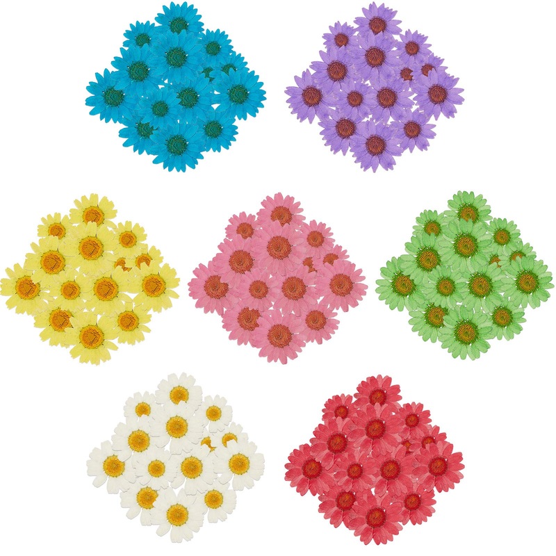 84 Pieces Real Dried Pressed Flowers 7 Colors Natural Daisy Flowers for DIY Crafts Resin Casting Jewelry Candle Soap Decorations Making Supplies  7 Bags