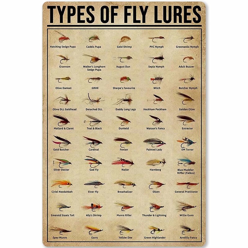 JIUFOTK Types Of Fly Lures Posters Metal Signs Fishing Knowledge Popular Science Guide Room Club Farm Wall Decor 8×12 Inches 8*12 Incn Types Of Fly Lures